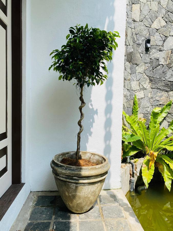 Thaprobana Villa Tangalle - Private Villa Bagian luar foto