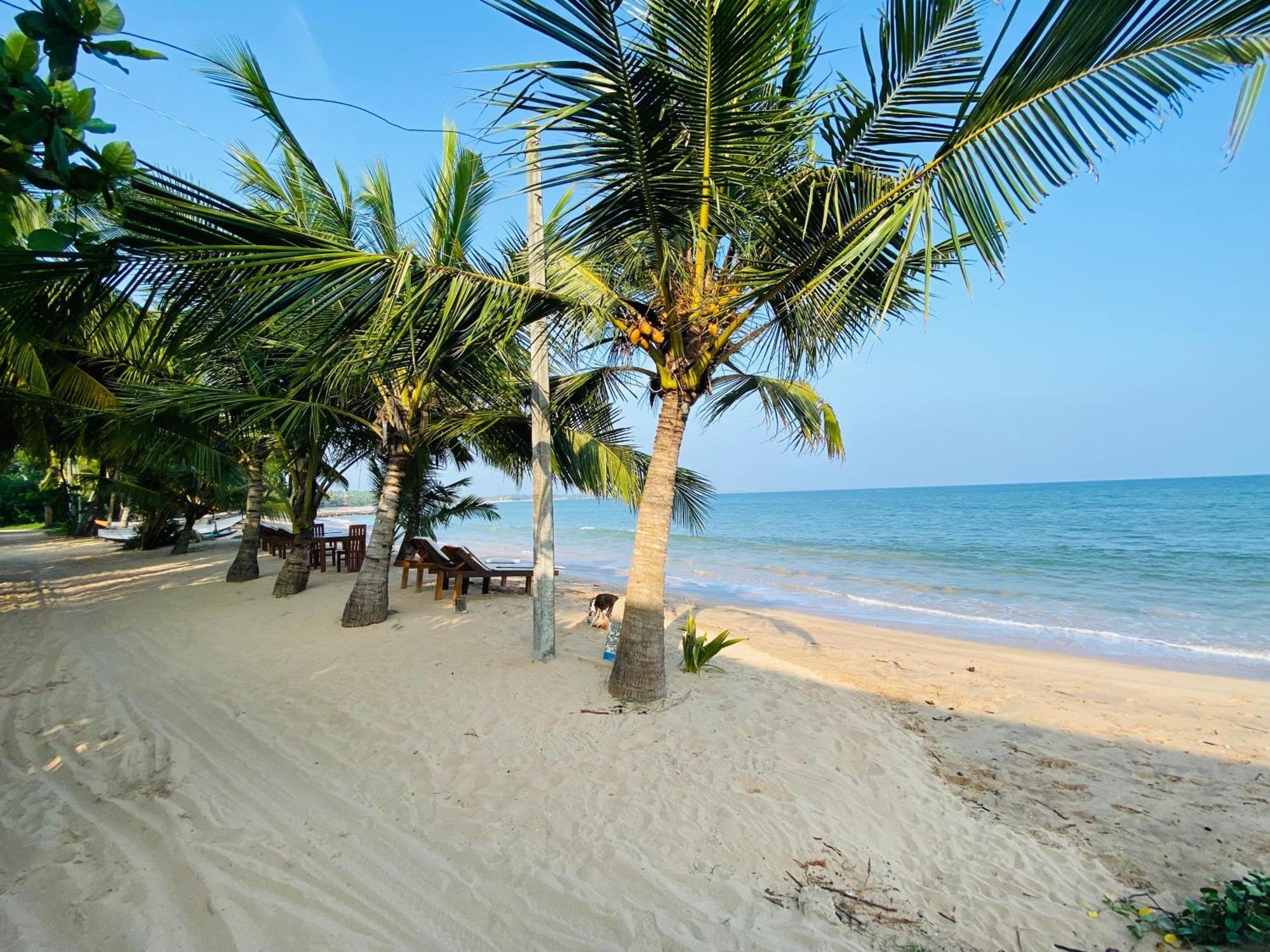 Thaprobana Villa Tangalle - Private Villa Bagian luar foto